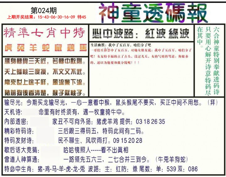 2025024期神童透码报