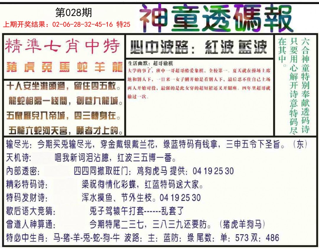 2025028期神童透码报