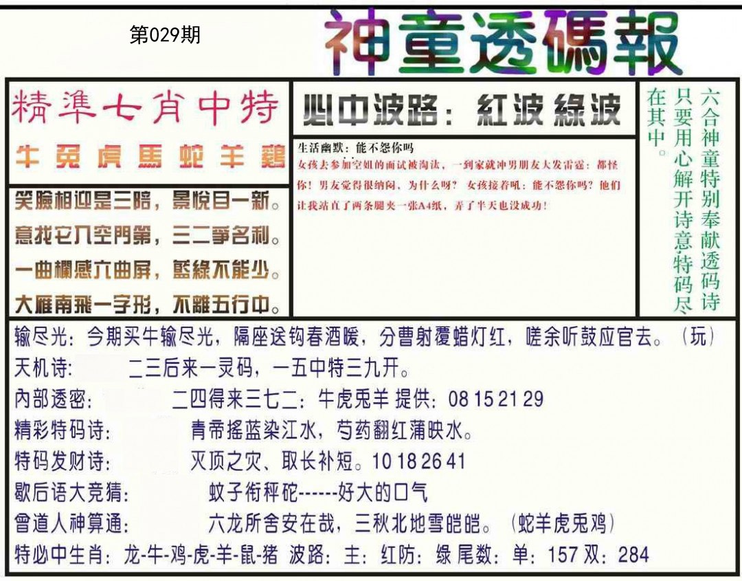 2025029期神童透码报