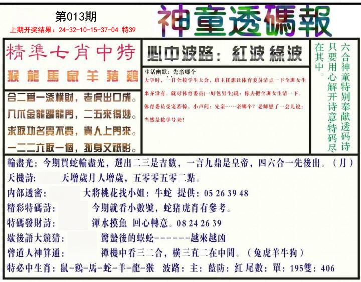 2025013期神童透码报