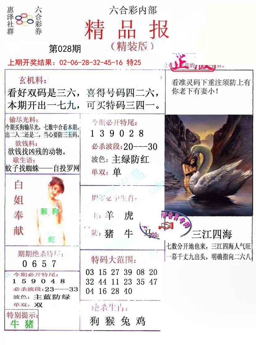 2025028期摇钱树