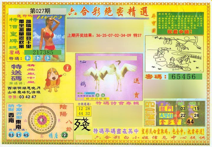 2025027期绝密精选A