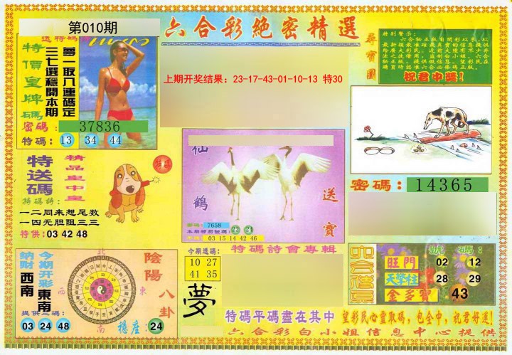 2025010期绝密精选A