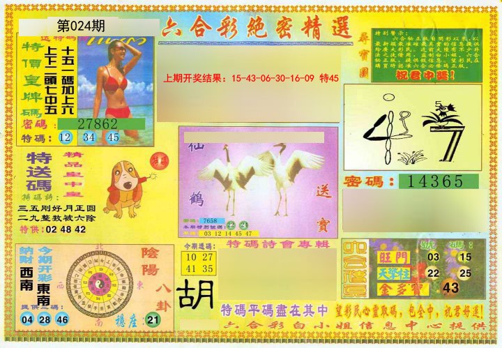 2025024期绝密精选A