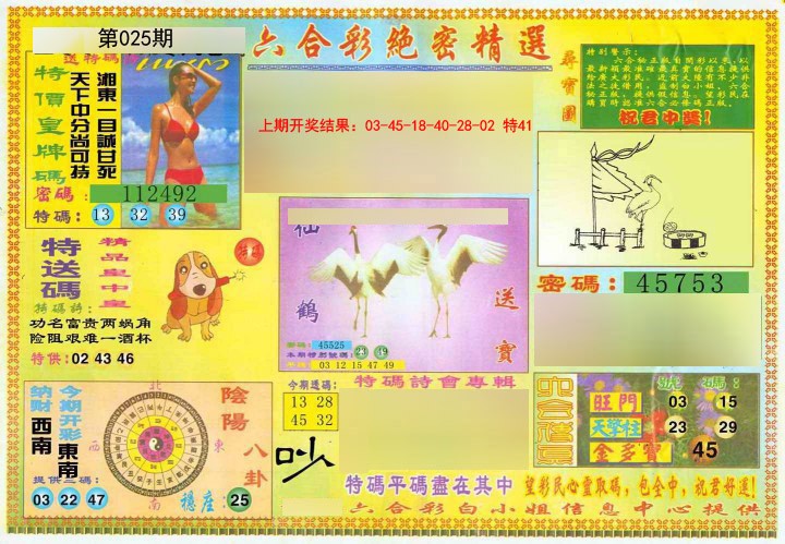 2025025期绝密精选A