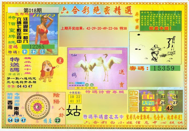 2025018期绝密精选A
