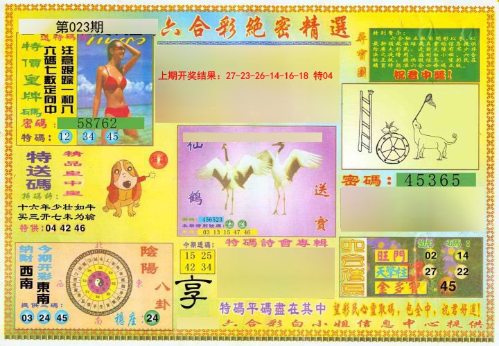 2025023期绝密精选A