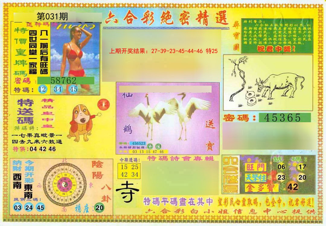 2025031期绝密精选A