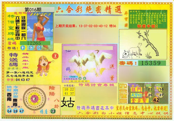 2025016期绝密精选A