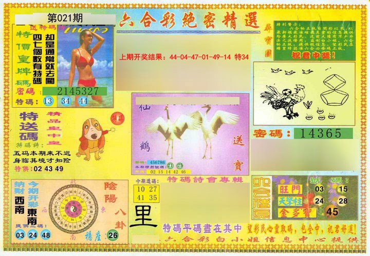 2025021期绝密精选A