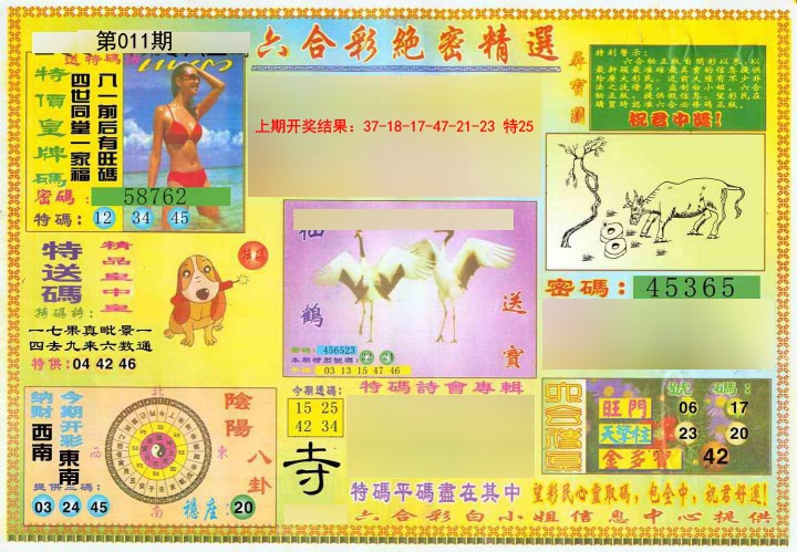 2025011期绝密精选A