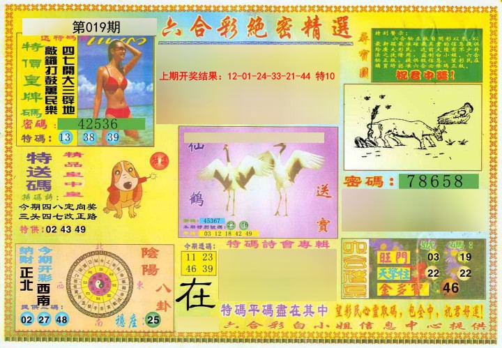2025019期绝密精选A