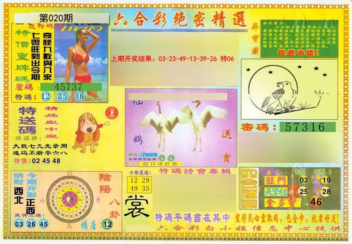 2025020期绝密精选A