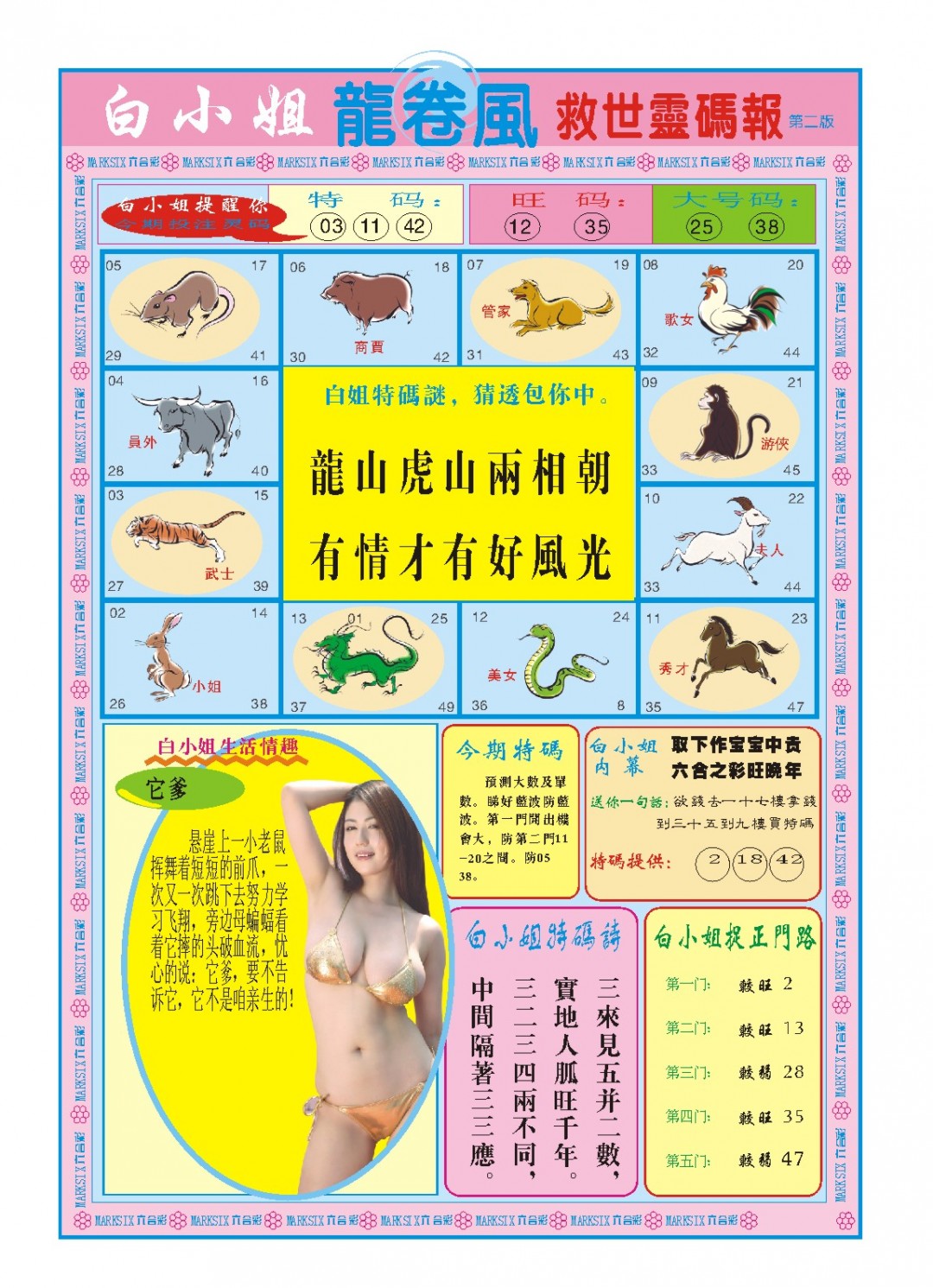 2025009期白小姐龙卷风B