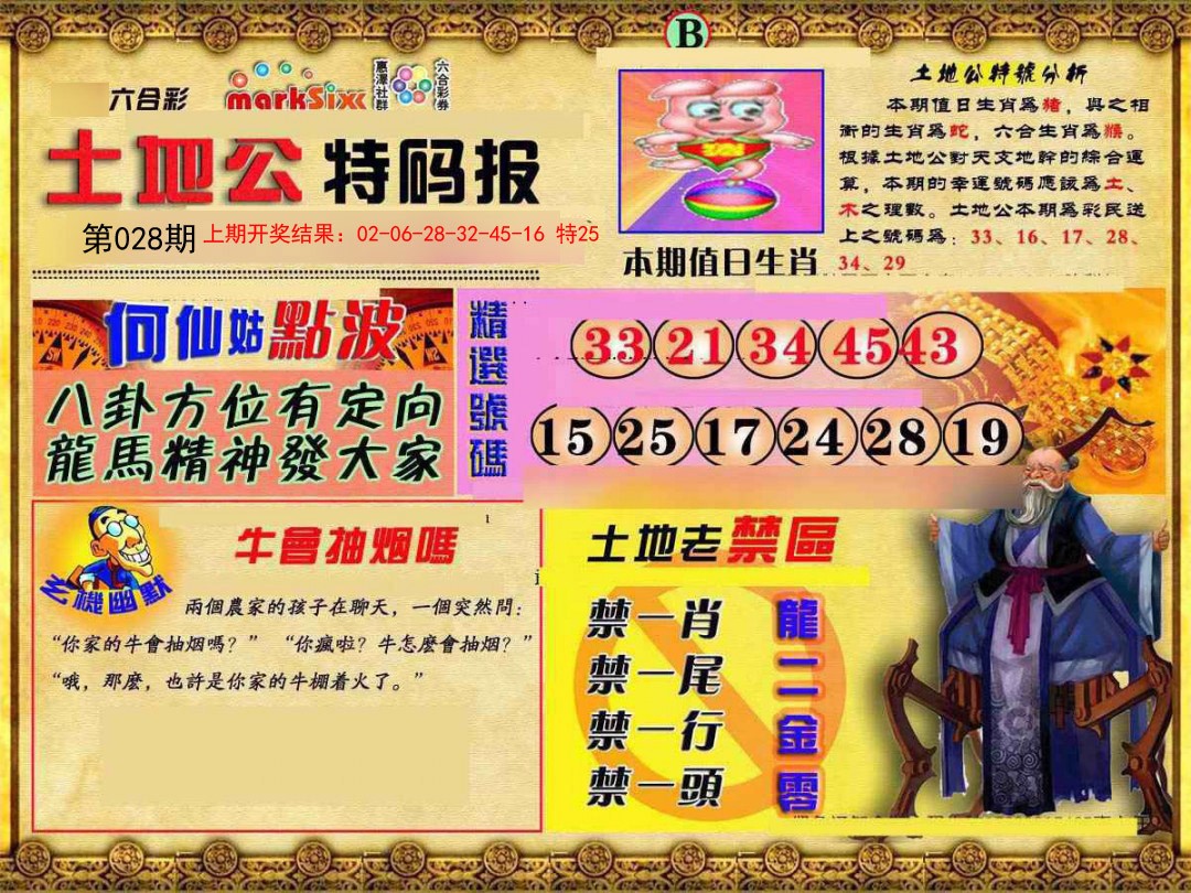 2025028期土地公特码报B