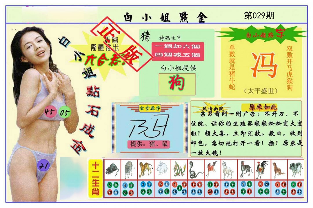 2025029期白小姐点金