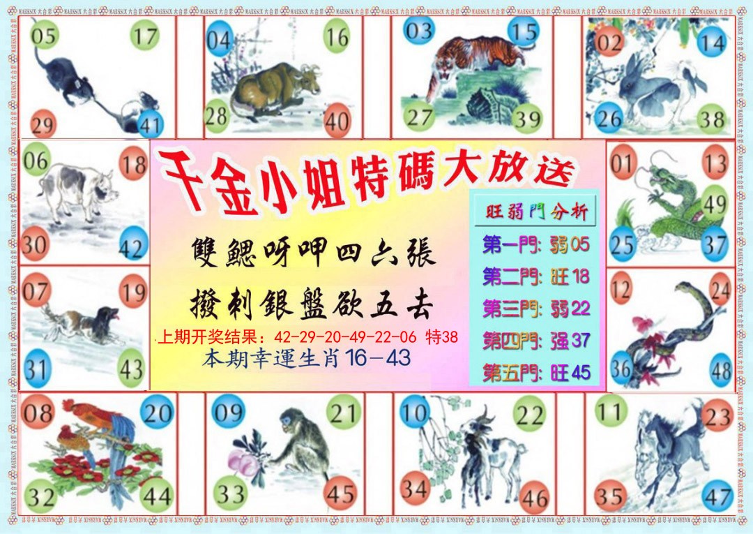 2025018期千金小姐B版
