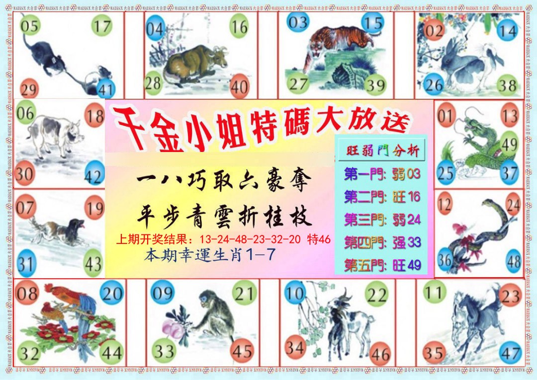2025009期千金小姐B版