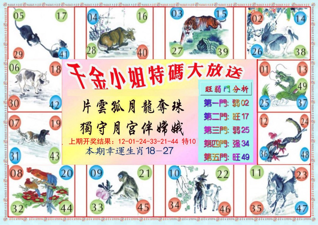 2025019期千金小姐B版