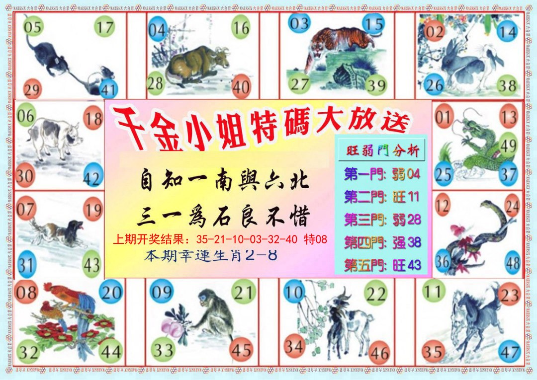 2025006期千金小姐B版
