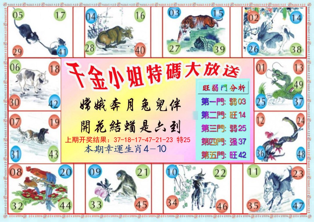 2025011期千金小姐B版