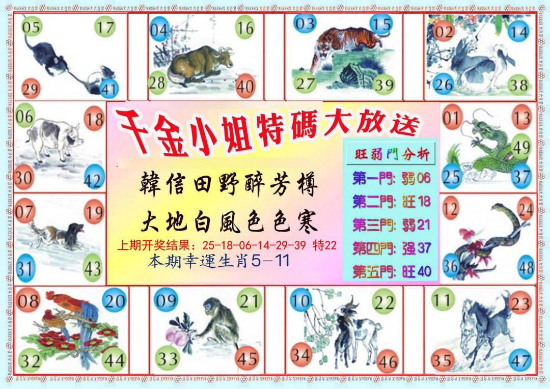 2025002期千金小姐B版