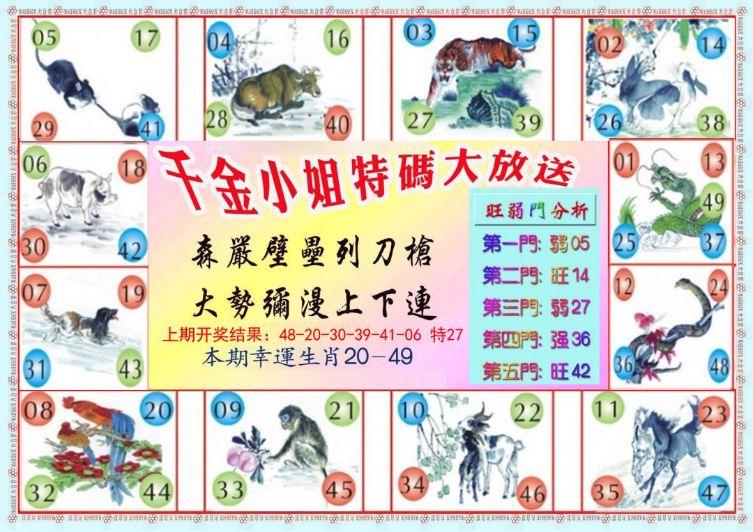 2025015期千金小姐B版