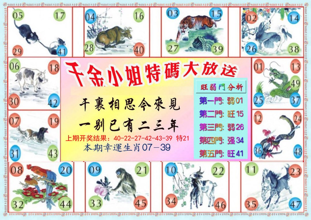 2025017期千金小姐B版