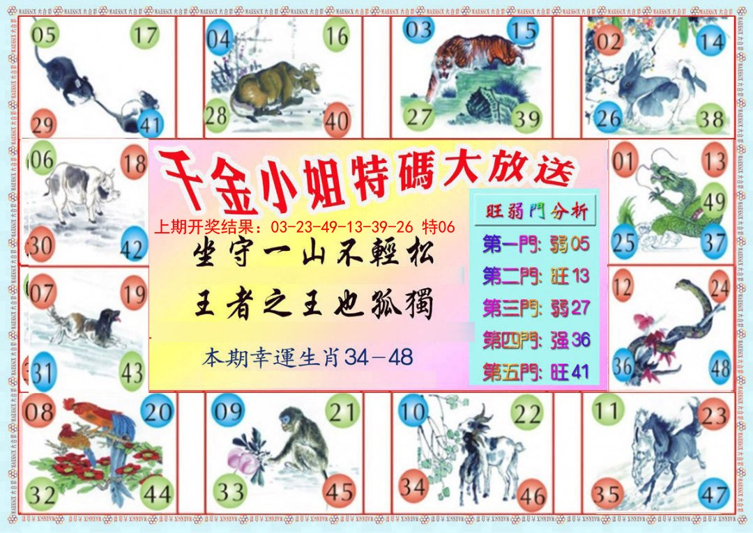 2025020期千金小姐B版