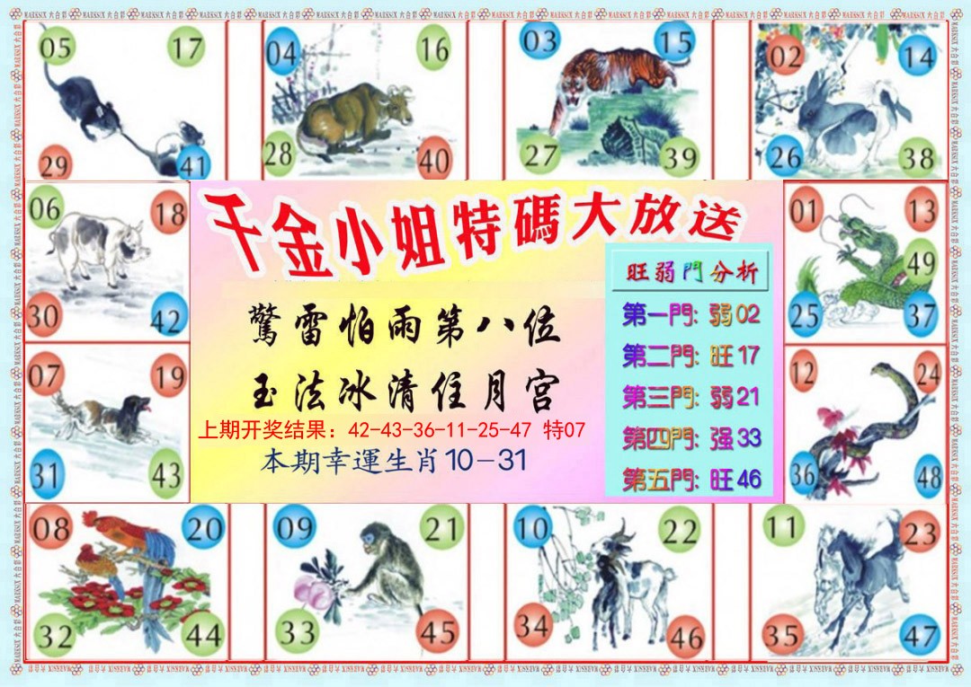 2025014期千金小姐B版