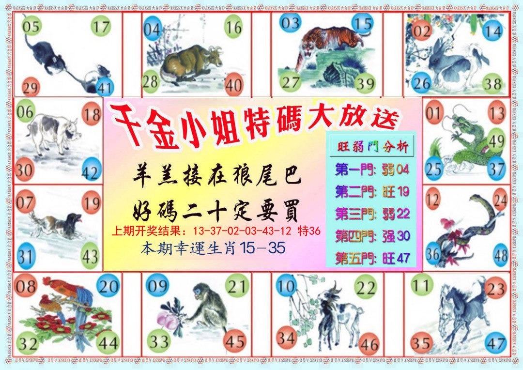 2025016期千金小姐B版
