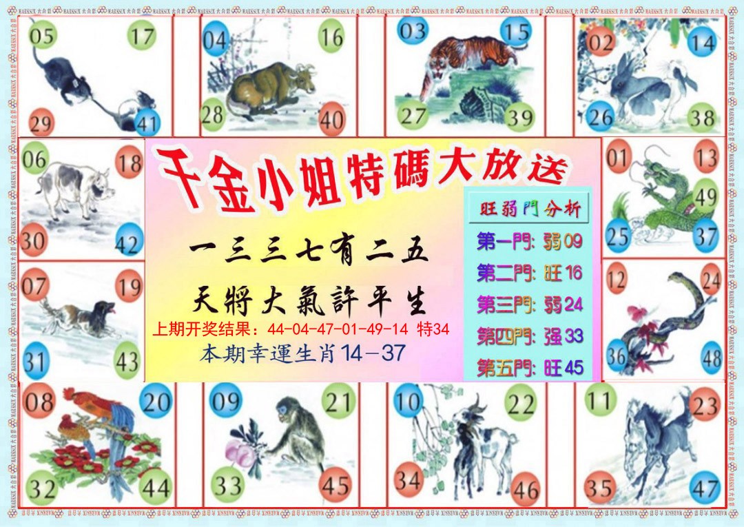2025021期千金小姐B版