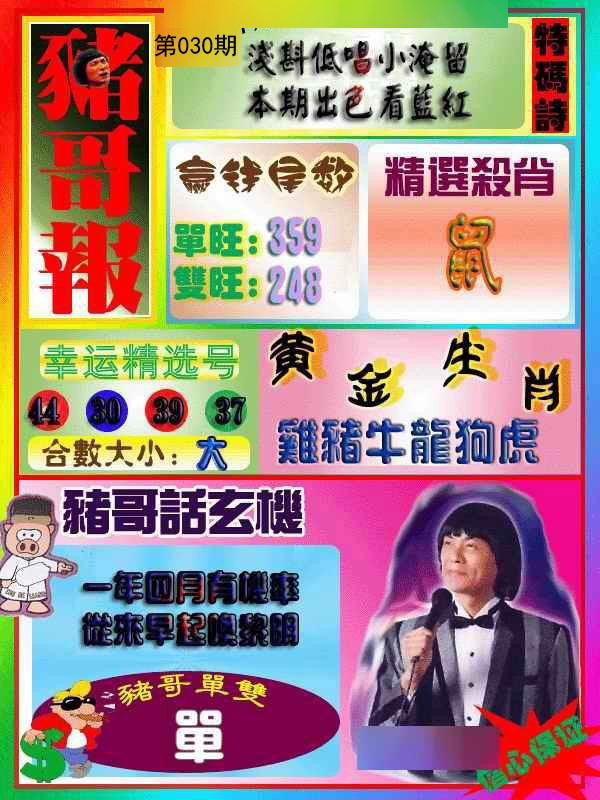 2025030期猪哥报