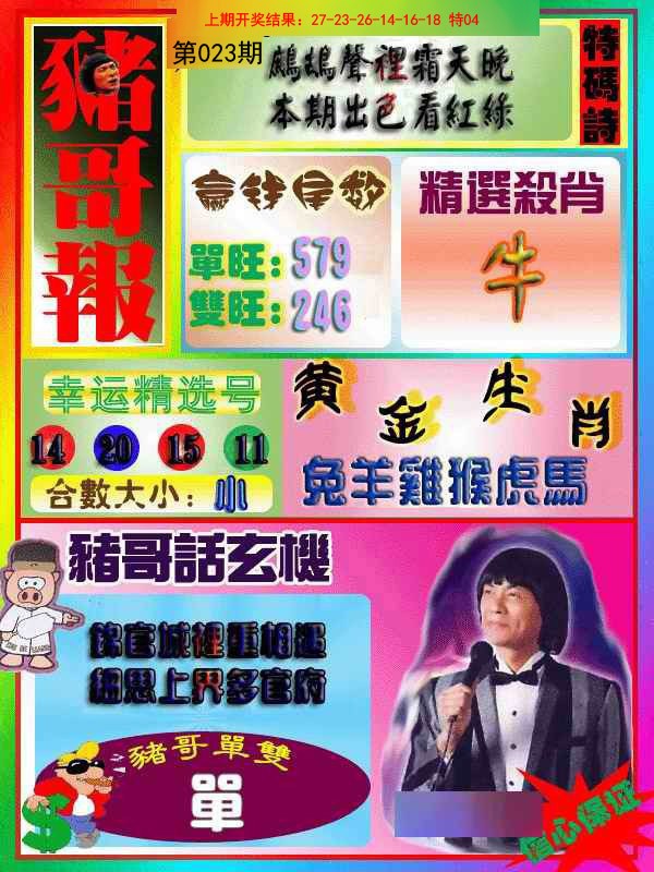 2025023期猪哥报