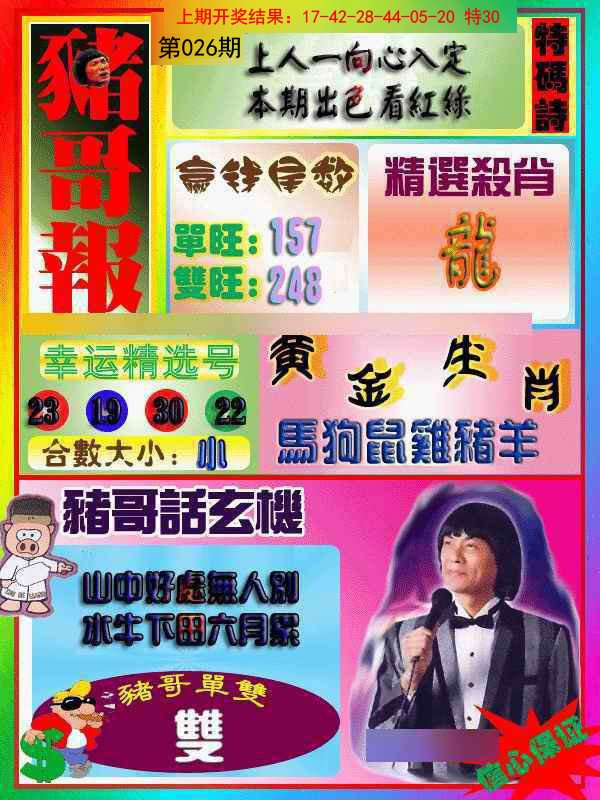 2025026期猪哥报