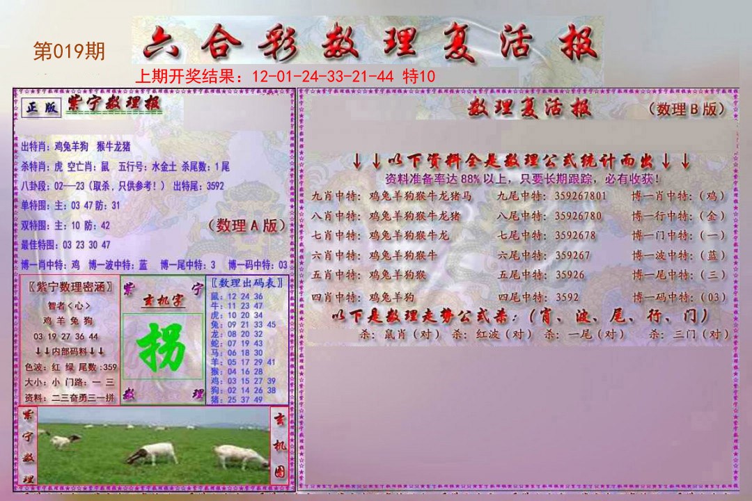 2025019期数理复活报