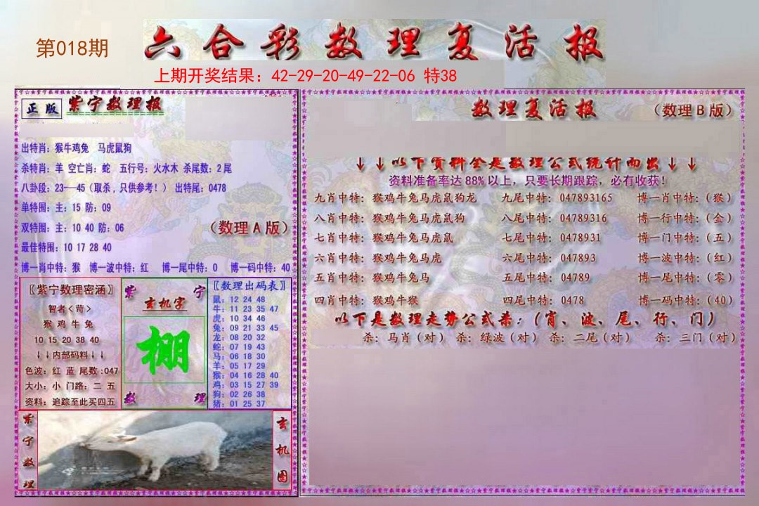 2025018期数理复活报