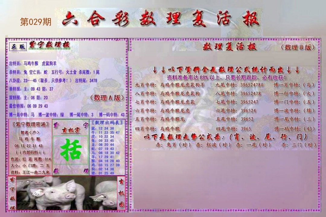 2025029期数理复活报