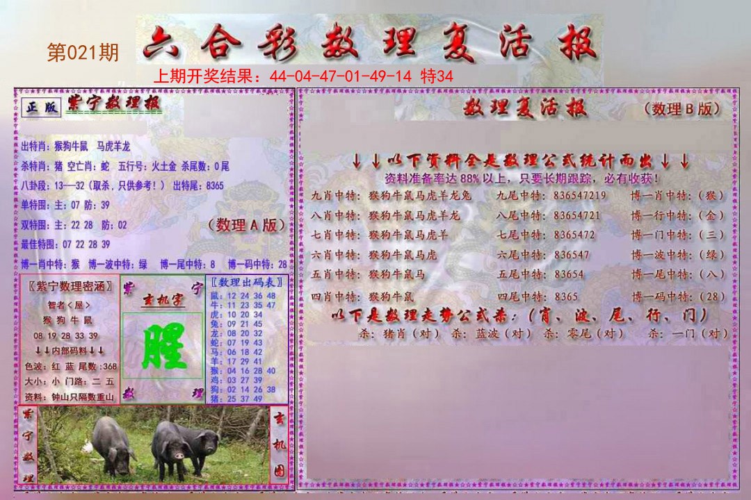 2025021期数理复活报