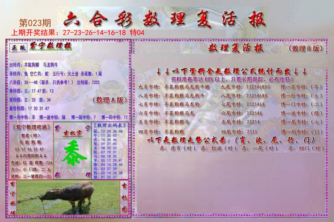 2025023期数理复活报