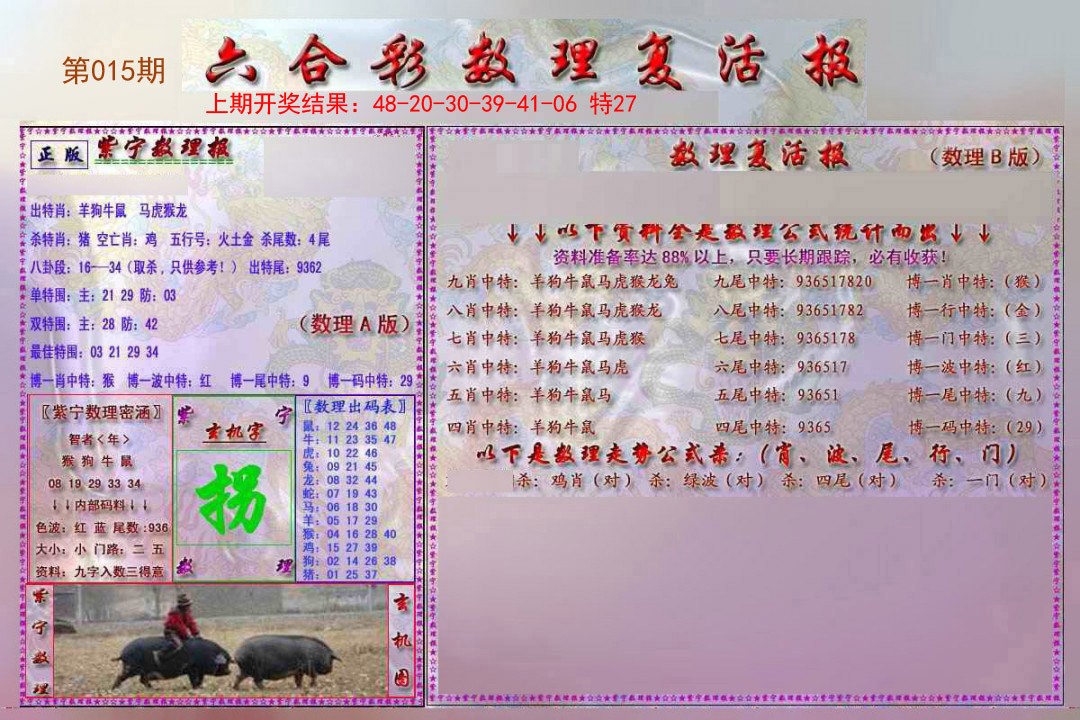 2025015期数理复活报