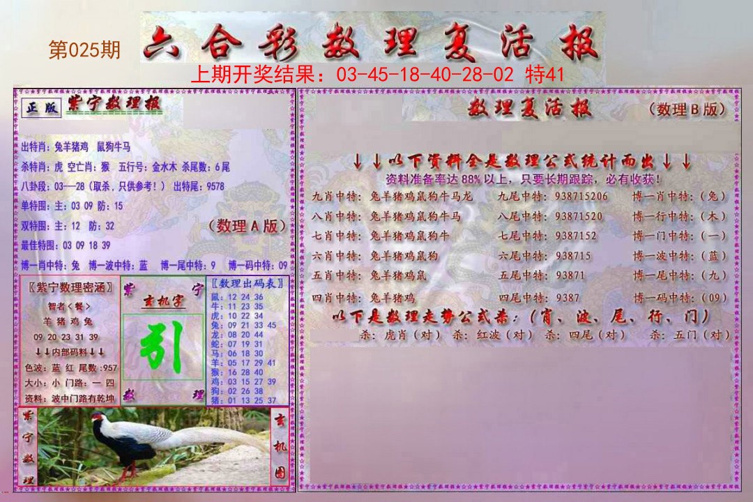 2025025期数理复活报