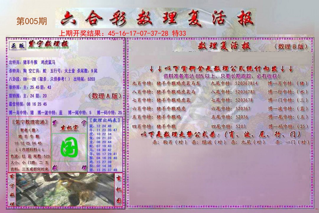 2025005期数理复活报