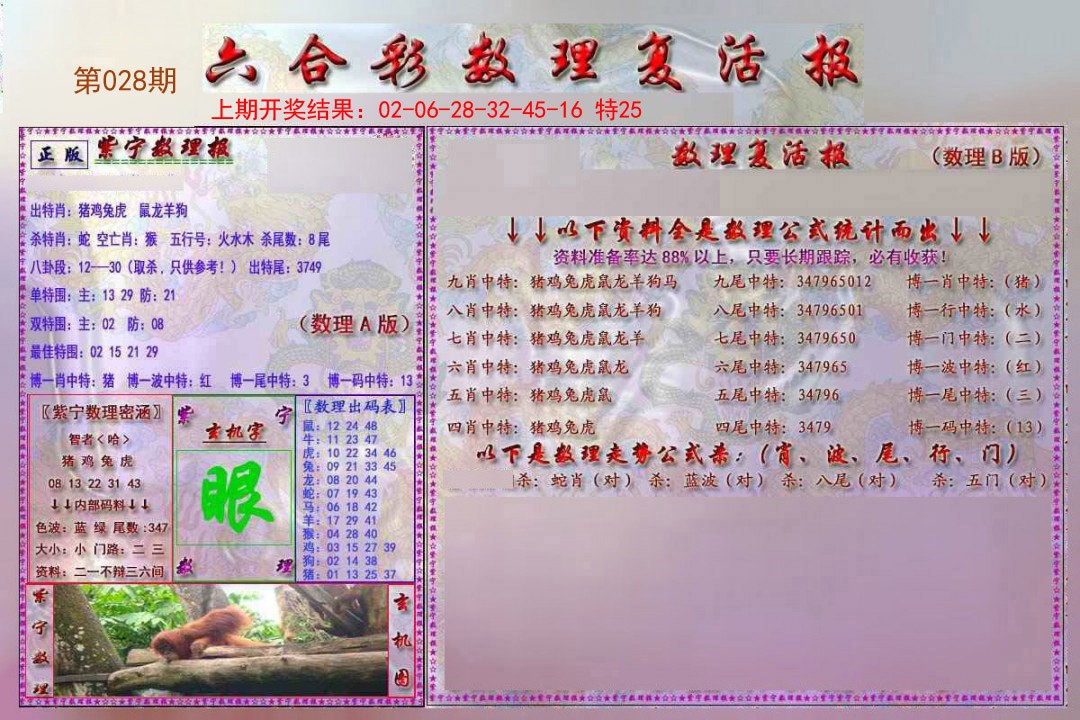 2025028期数理复活报