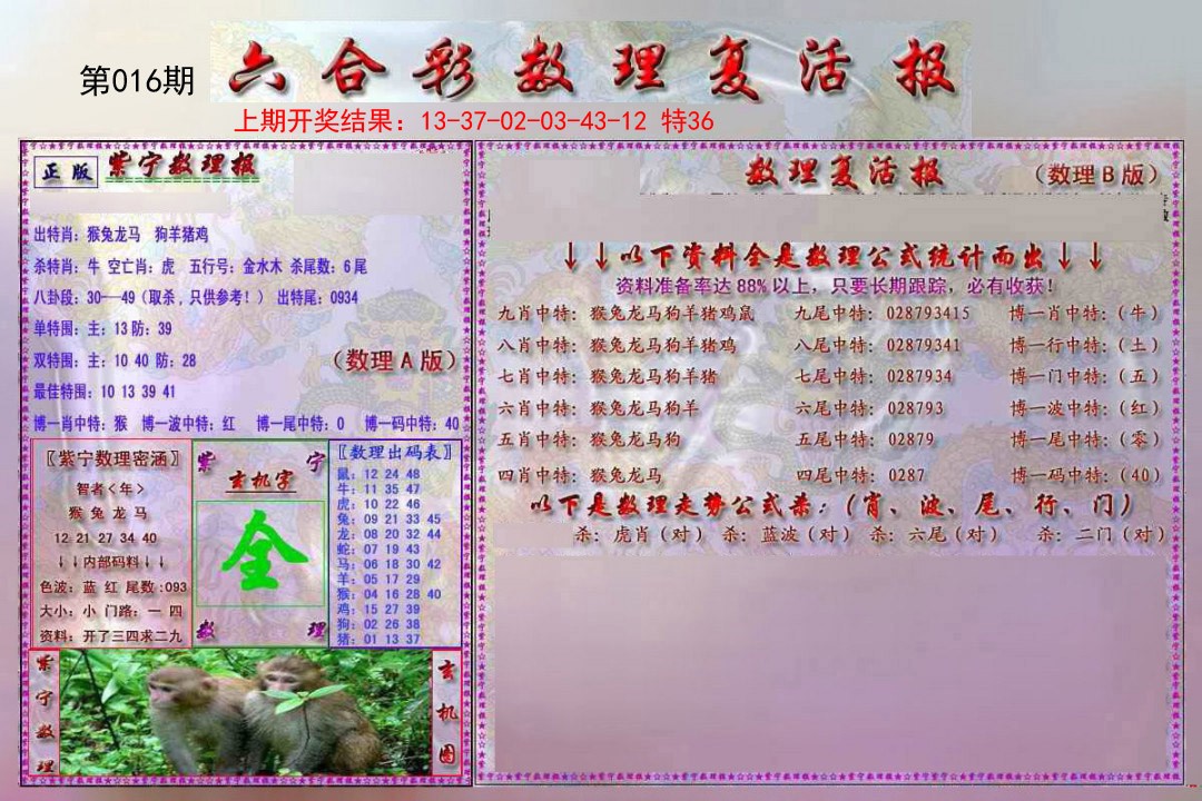 2025016期数理复活报