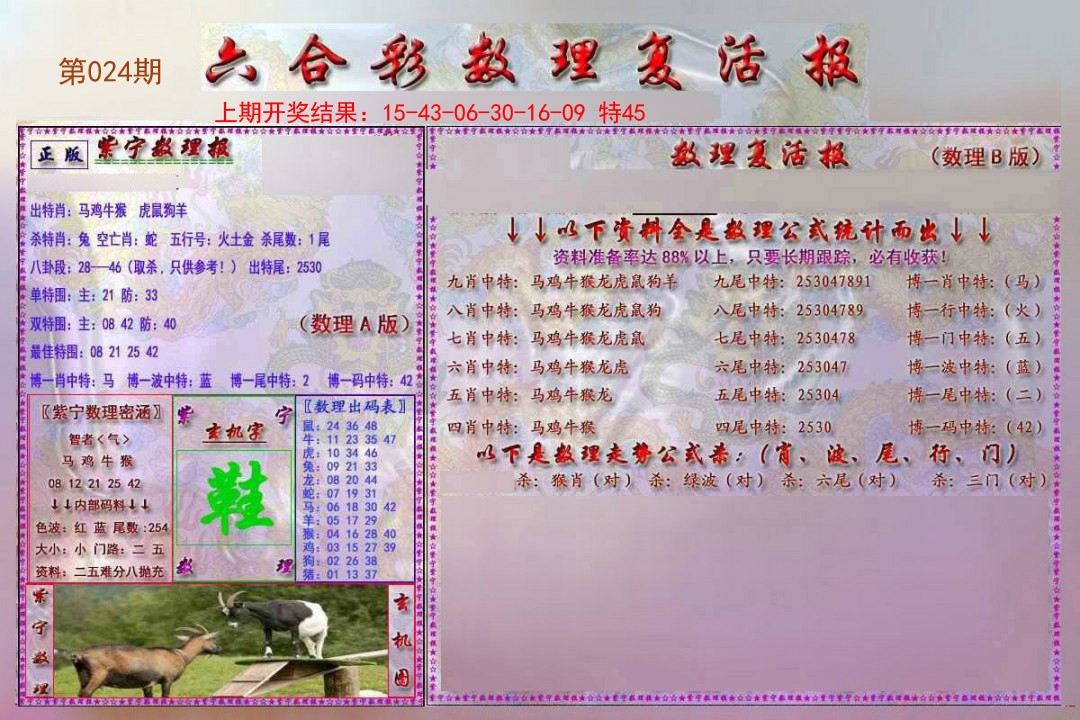 2025024期数理复活报