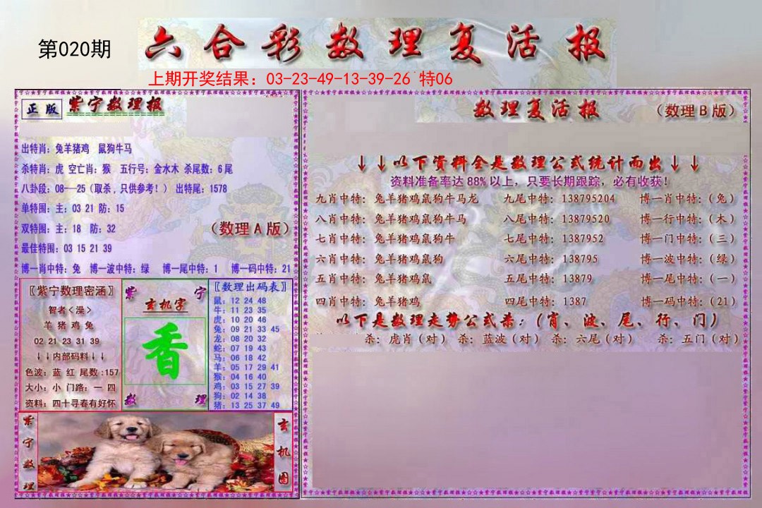 2025020期数理复活报