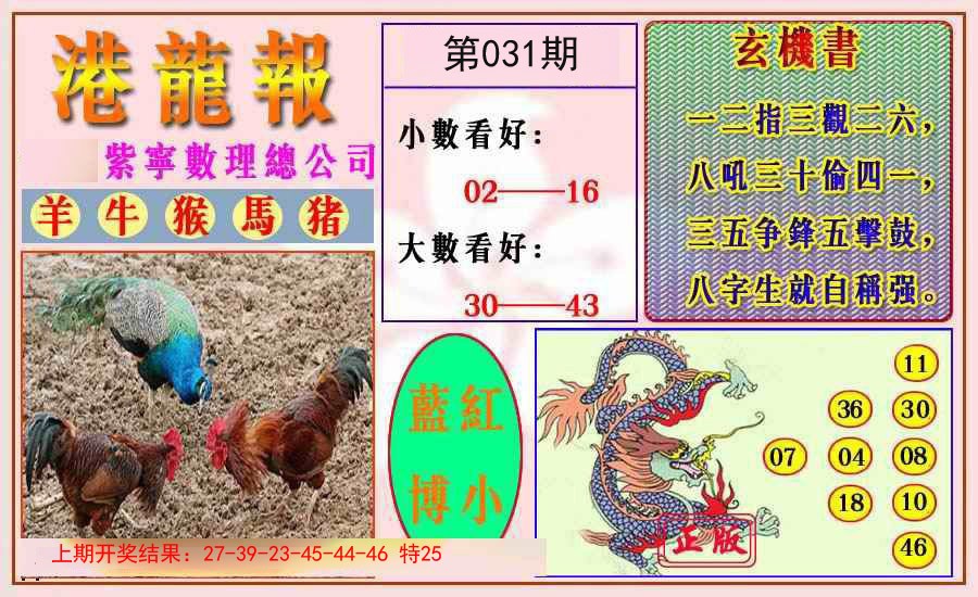 2025031期港龙报