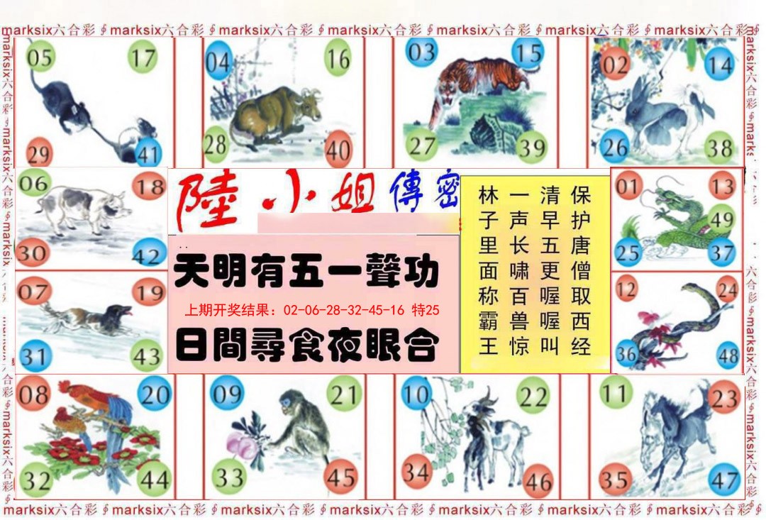 2025028期陆小姐传密B