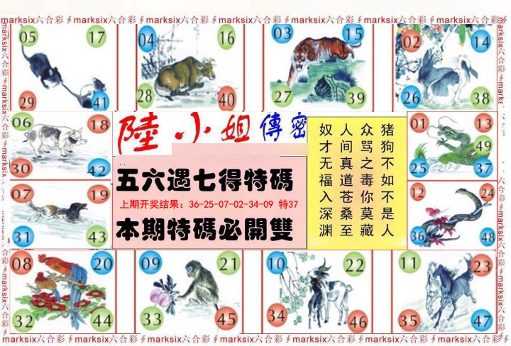 2025027期陆小姐传密B
